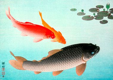 Vintage Japanese Koi Fish