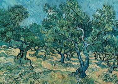 Olive Grove Van Gogh