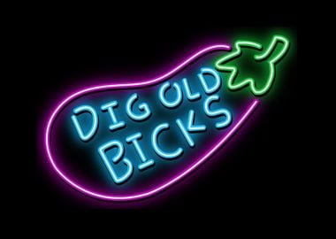 Dig old bicks