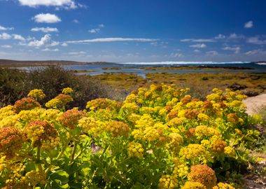 Spain landscape, Lanzarote