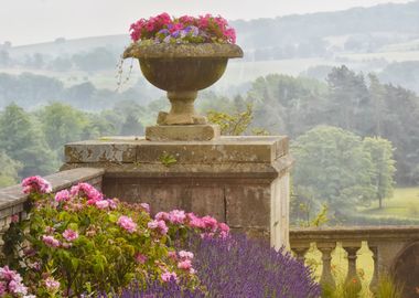 English rose garden