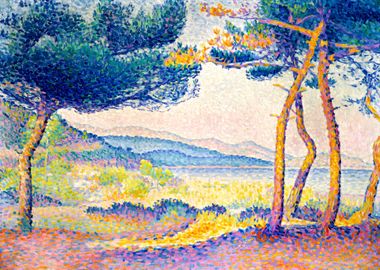 Henri Edmond Cross Pines