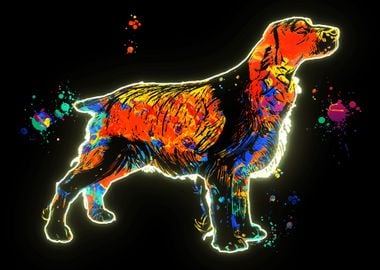 Neon cocker spaniel