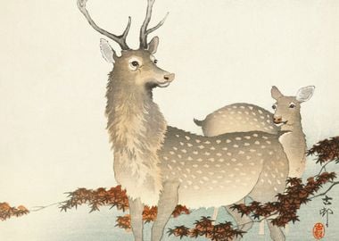 Japanese Deers Ohara Print