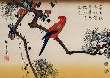 Macaw on Pine Branch Print