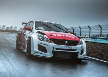 Peugeot 308 TCR