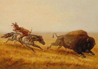 Indian Hunting Bison