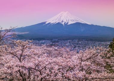 Beautiful Japan Fuji 