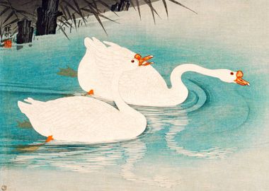 Geese amid Reeds Ohara