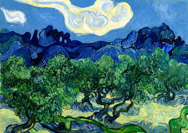 Olive Trees van Gogh