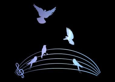 Bird Colorful Music