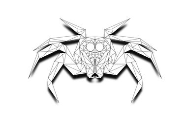 Spider Lowpoly Wireframe