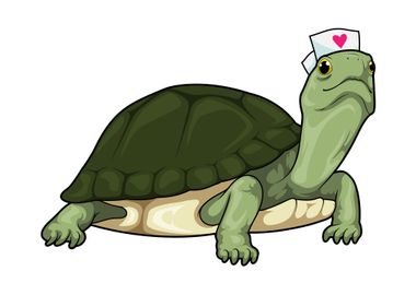 Turtle Nurse