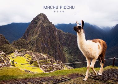 Machu Picchu 