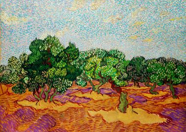 Olive Trees Van Gogh