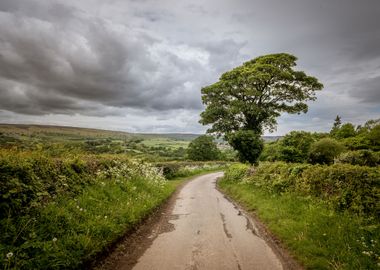 Clouds Over Spring Roads