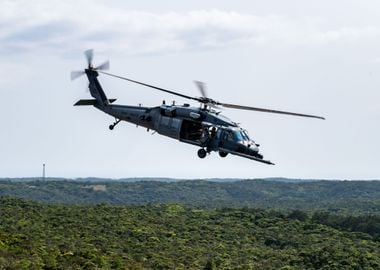 Pavehawk