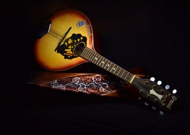 instrument round guitar