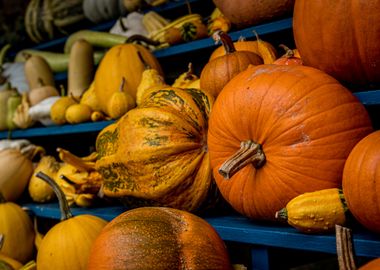 Pumpkins and Gourds