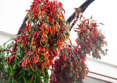 Red chili peppers drying b