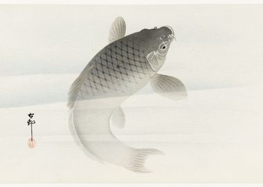 Fish sketch illustration