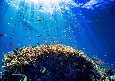 underwater sea