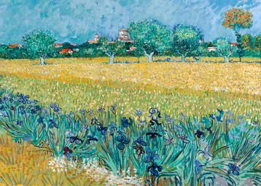 View of Arles with Irises