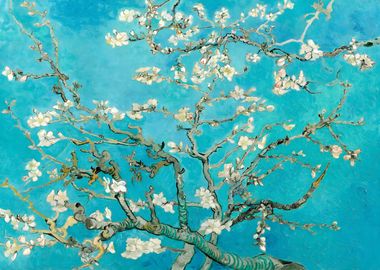 Almond Blossoms