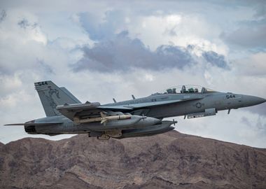 EA18G Growler