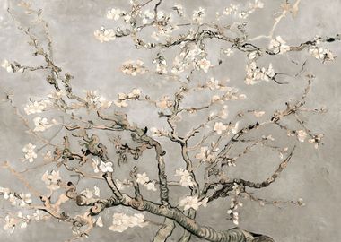 Almond Blossoms in Beige