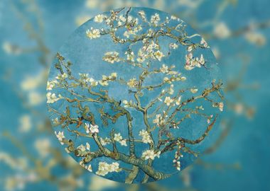 Almond Blossom Abstract