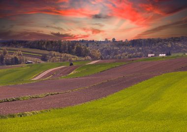  Spring landscape, Poland