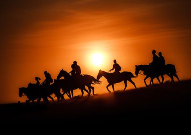 Horses Running in Park