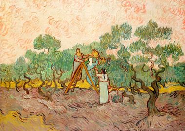 Women Picking Olives Gogh