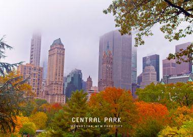 Central Park 