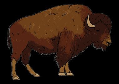 Bison Cool