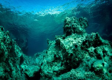 Underwater Landscape