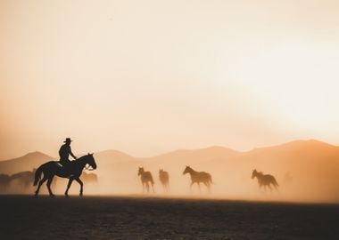 horse blanket