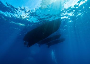 Underwater View