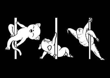 Pole Dancing Koala Bear