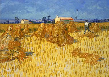 Corn Harvest in Provence