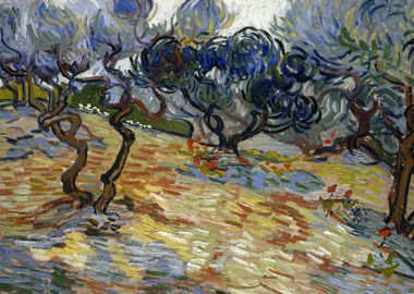 Olive Trees 1889 van Gogh