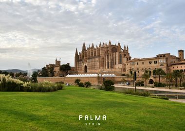 Palma  