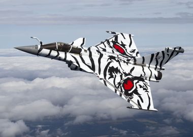 Rafale Marine White Tiger