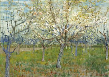 The Pink Orchard van Gogh