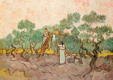 Women Picking Olives