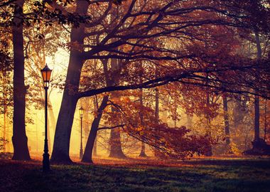 Autumn landscape, Poland