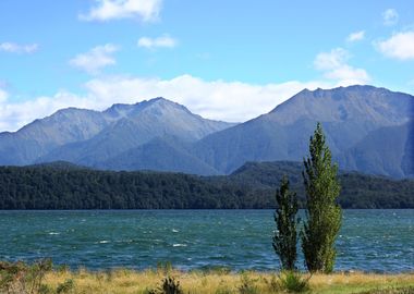 South Island Sea Views