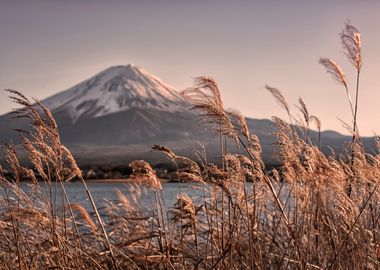 Mount Fuji