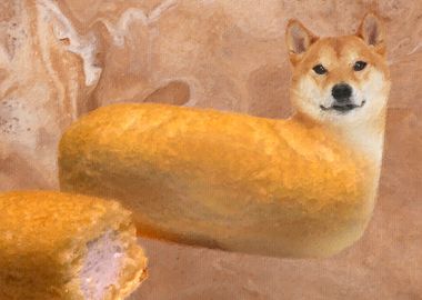 Doge meme